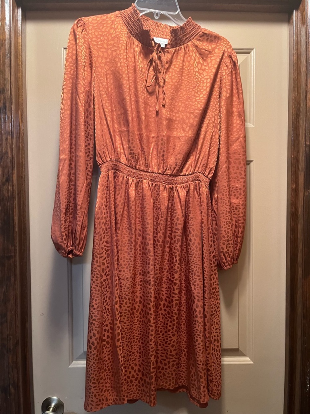 Chenault Burnt Orange Long-Sleeve Smocked Waist Dress
